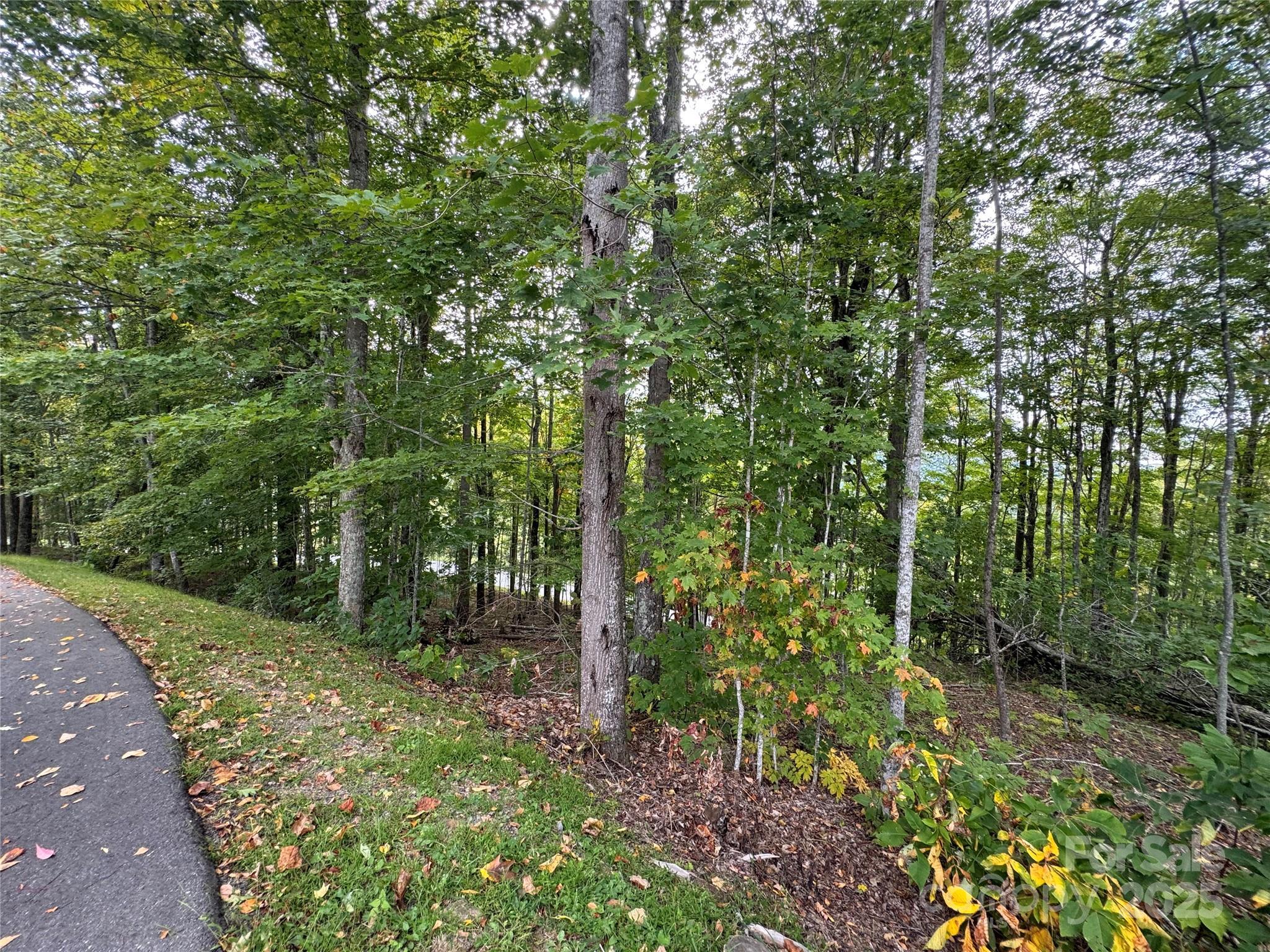 Tbd Bear Paw Road, Unit 15 Elk Park, NC 28622 - Photo 10 of 19 a view of outdoor space and garden