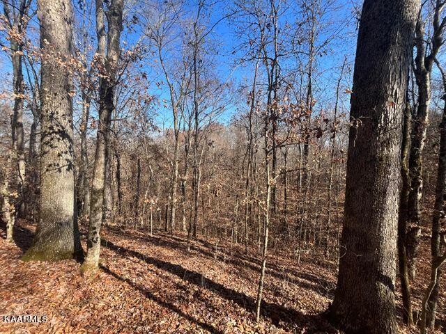 41 Athens Road Delano, TN 37325 - Photo 12 of 34