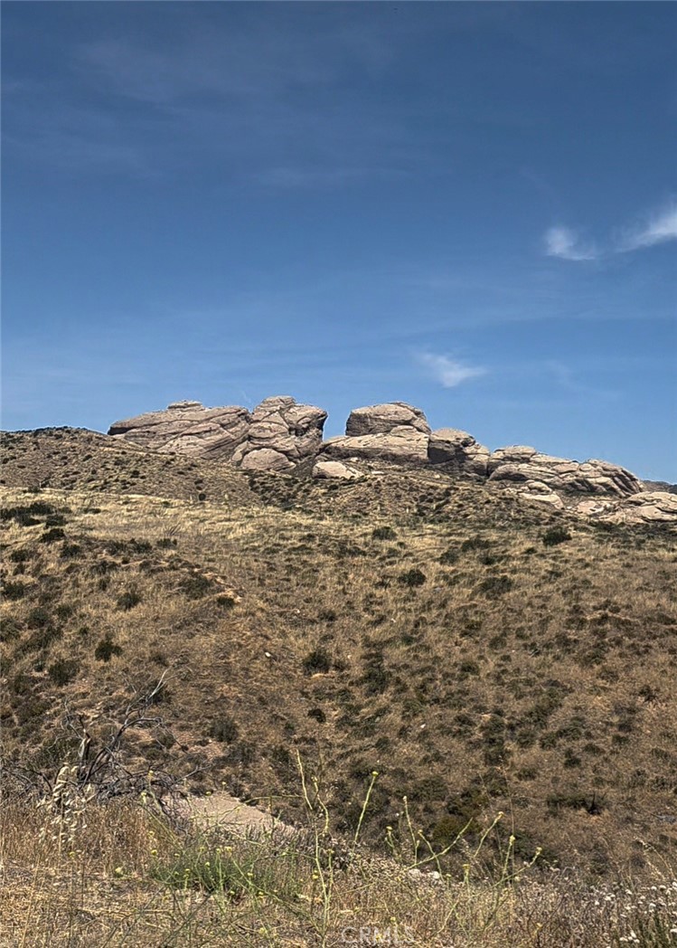 0 Briggs Road Agua Dulce, CA 91390 - Photo 7 of 10