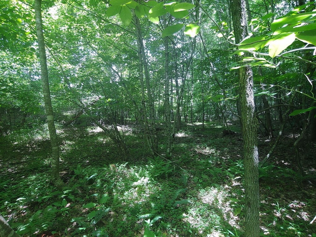 Tbd Silver Leaf Road, Unit 71A55 Dugspur, VA 24325 - Photo 15 of 33 Gallery Image 15