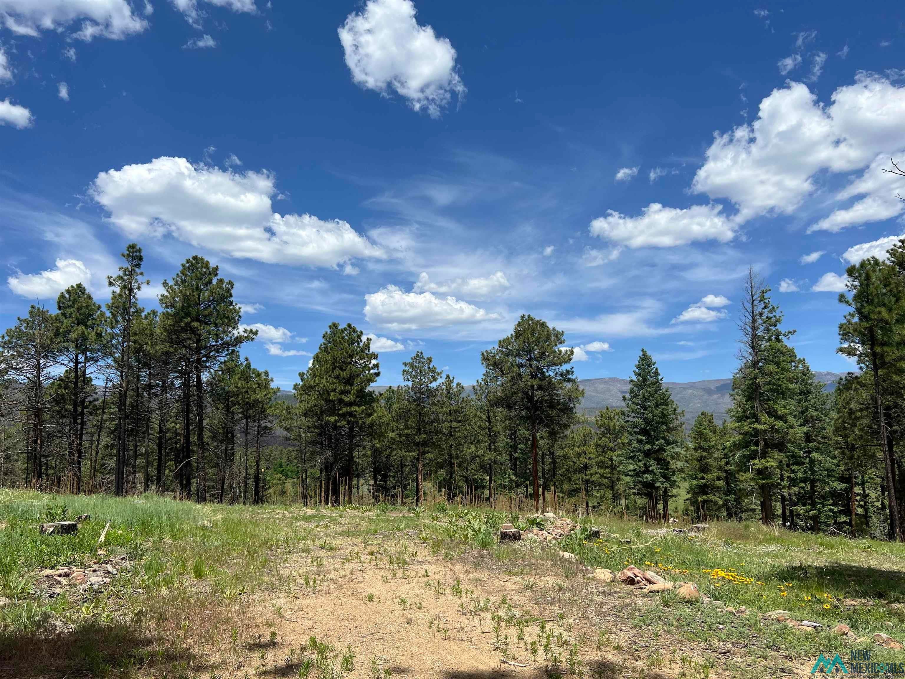 30 Goleta Court, Unit 162 Rociada, NM 87742 - Photo 4 of 13 Gallery Image 4