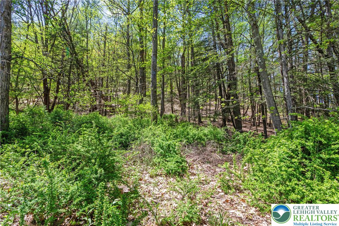 1841 Twin Pine Road Stroudsburg, PA 18360 - Photo 52 of 57