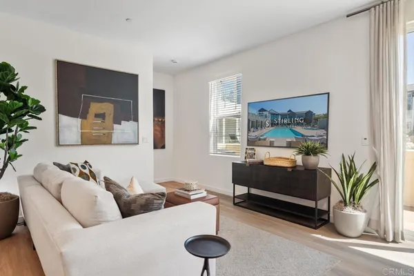 a living room with furniture and a potted plant