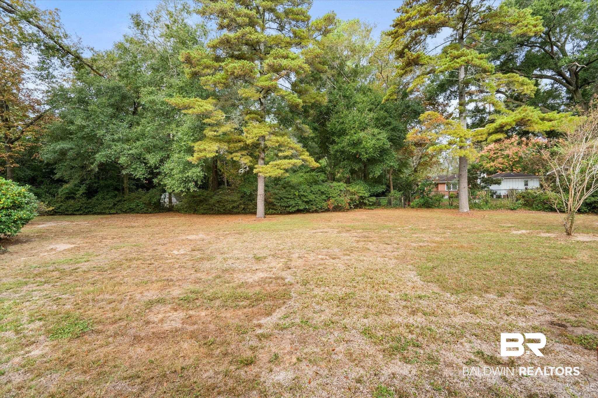 162 Bit And Spur Terrace Mobile, AL 36608 - Photo 26 of 29 View of yard