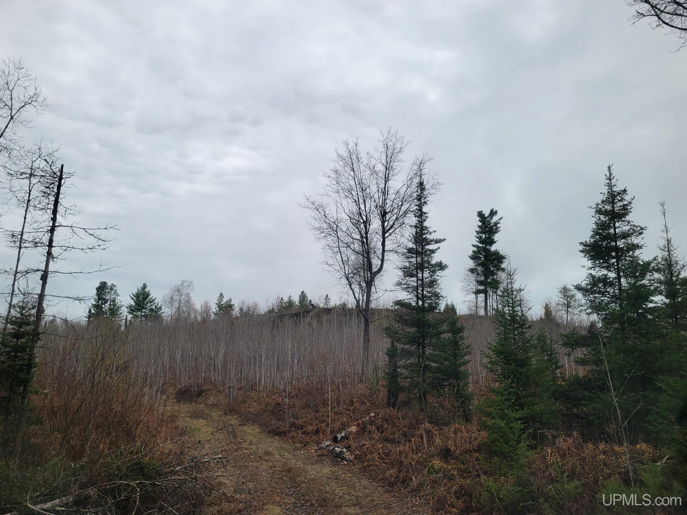 5 Camp 5 Road Crystal Falls, MI 49920 - Photo 1 of 5