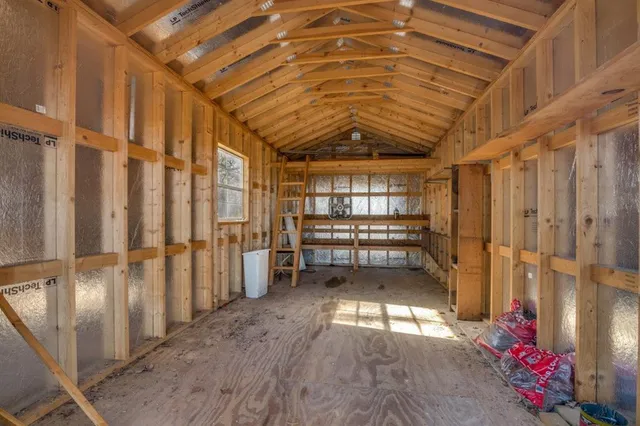 a view of a yard with plants