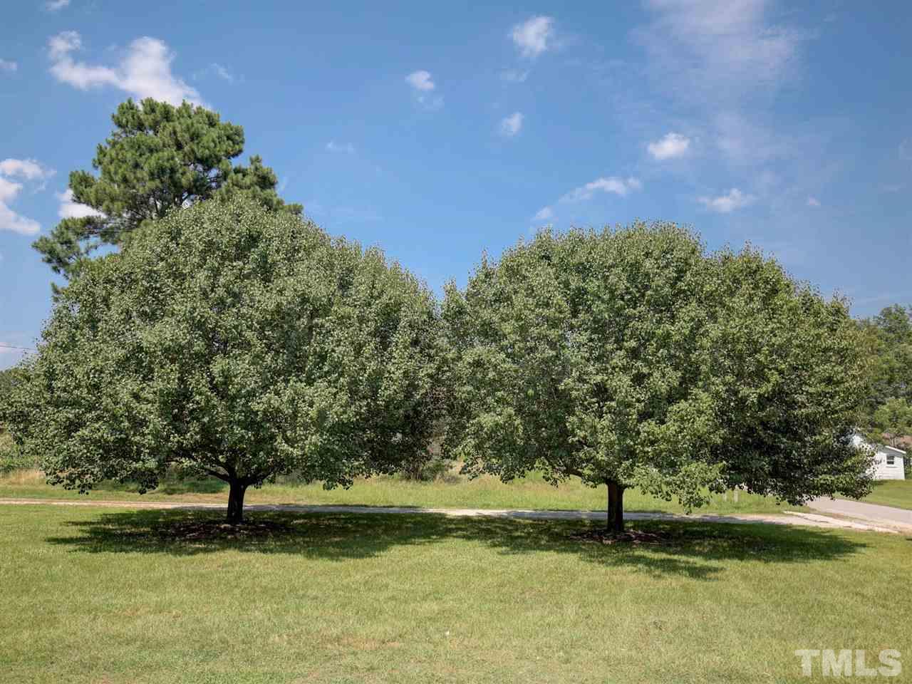 3113 East Garner Road Raleigh, NC 27610 - Photo 7 of 23