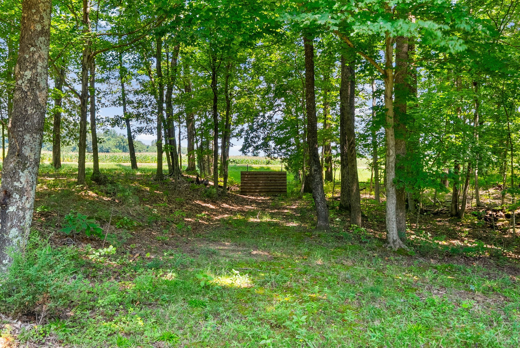 11544 Johnson Mill Road Crofton, KY 42217 - Photo 85 of 91 Gallery Image 85