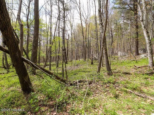 $7,000 | Lot 19 Potecasi Creek Road, Ahoskie, NC 27910