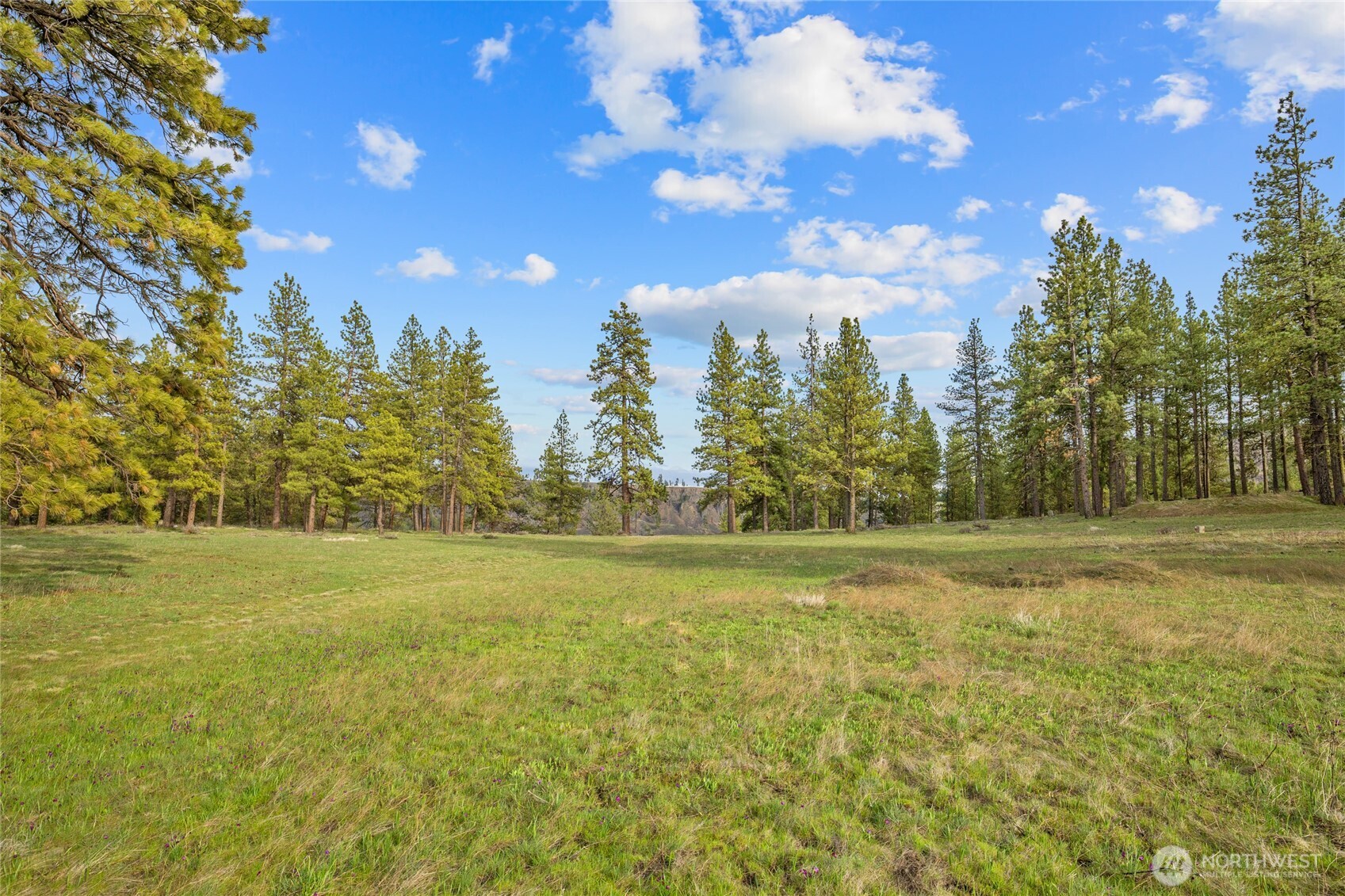 297 Swauk Pines Road Cle Elum, WA 98922 - Photo 1 of 13
