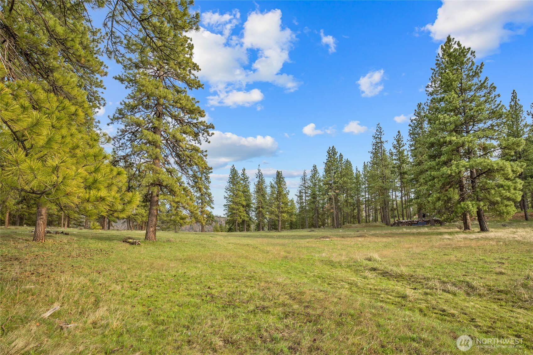 297 Swauk Pines Road Cle Elum, WA 98922 - Photo 2 of 13