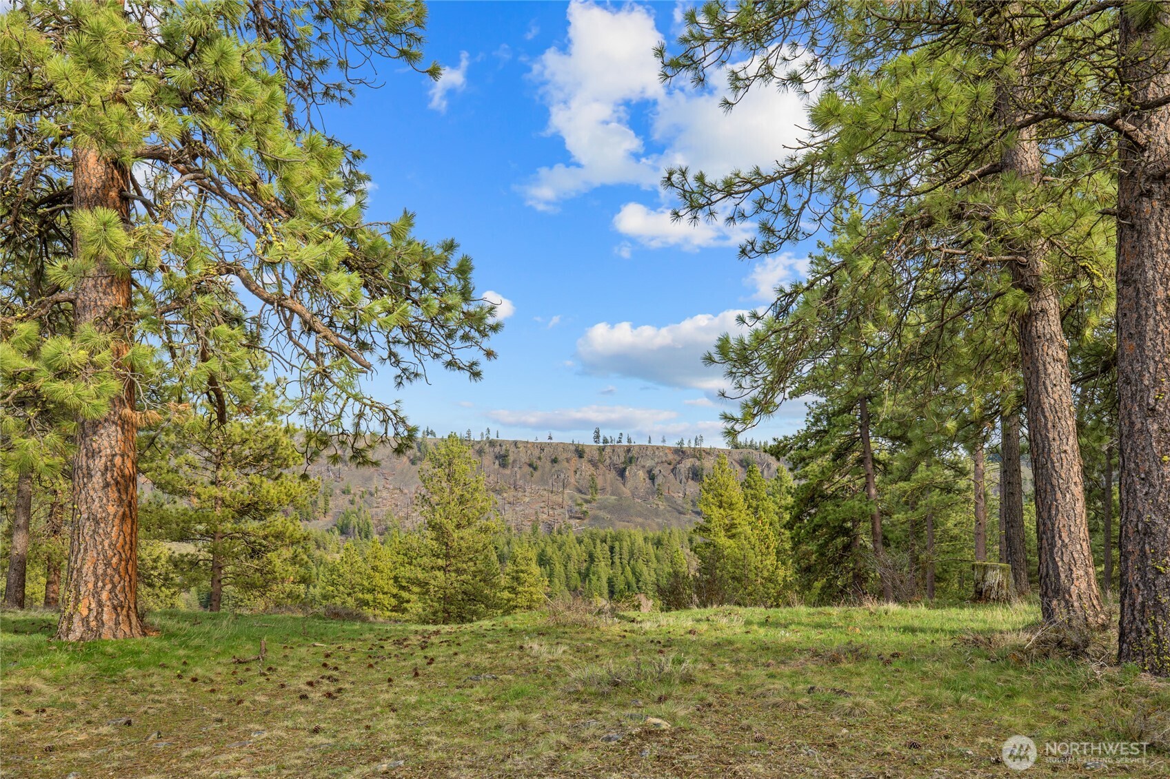 297 Swauk Pines Road Cle Elum, WA 98922 - Photo 3 of 13