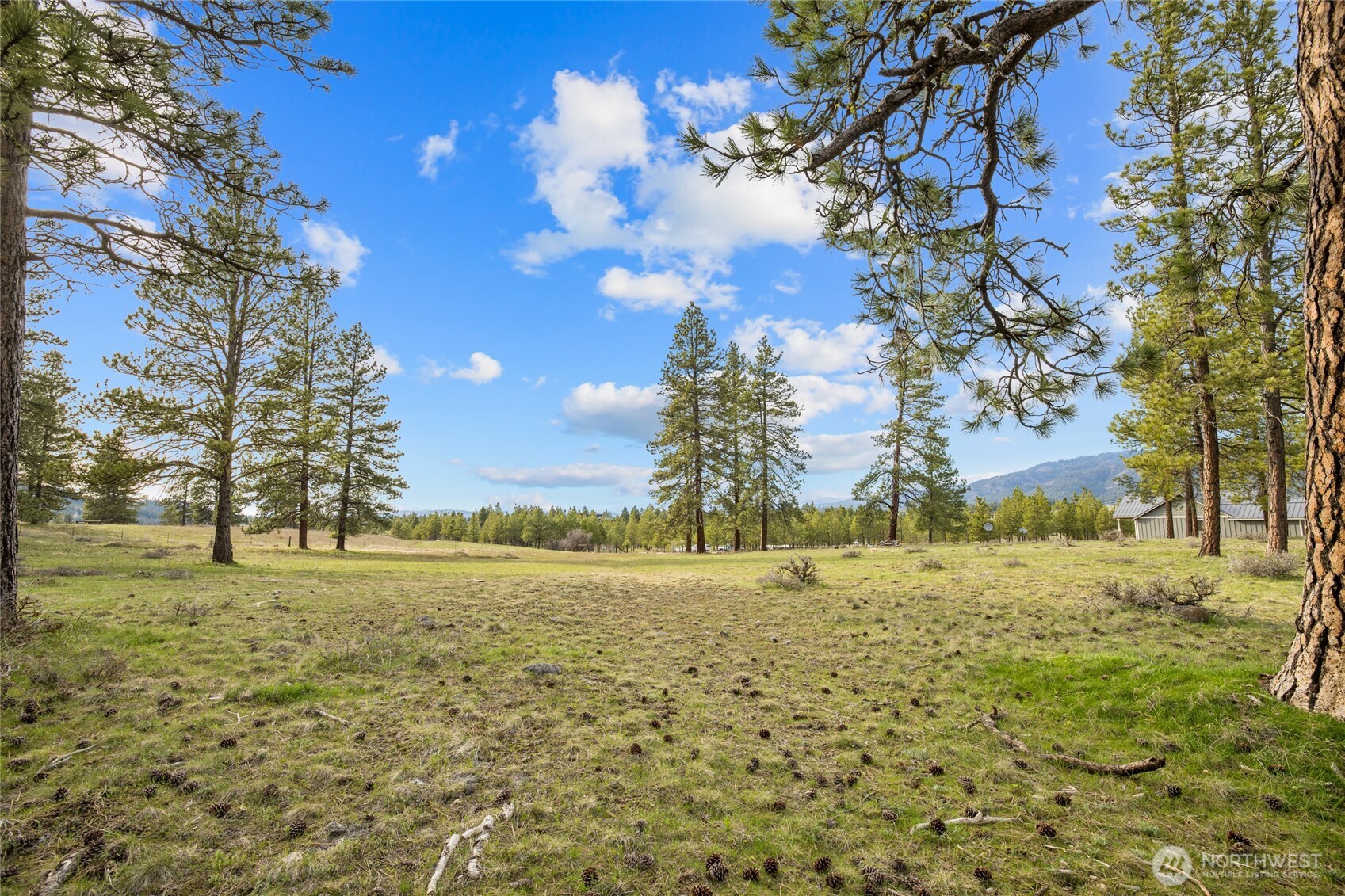 297 Swauk Pines Road Cle Elum, WA 98922 - Photo 4 of 13