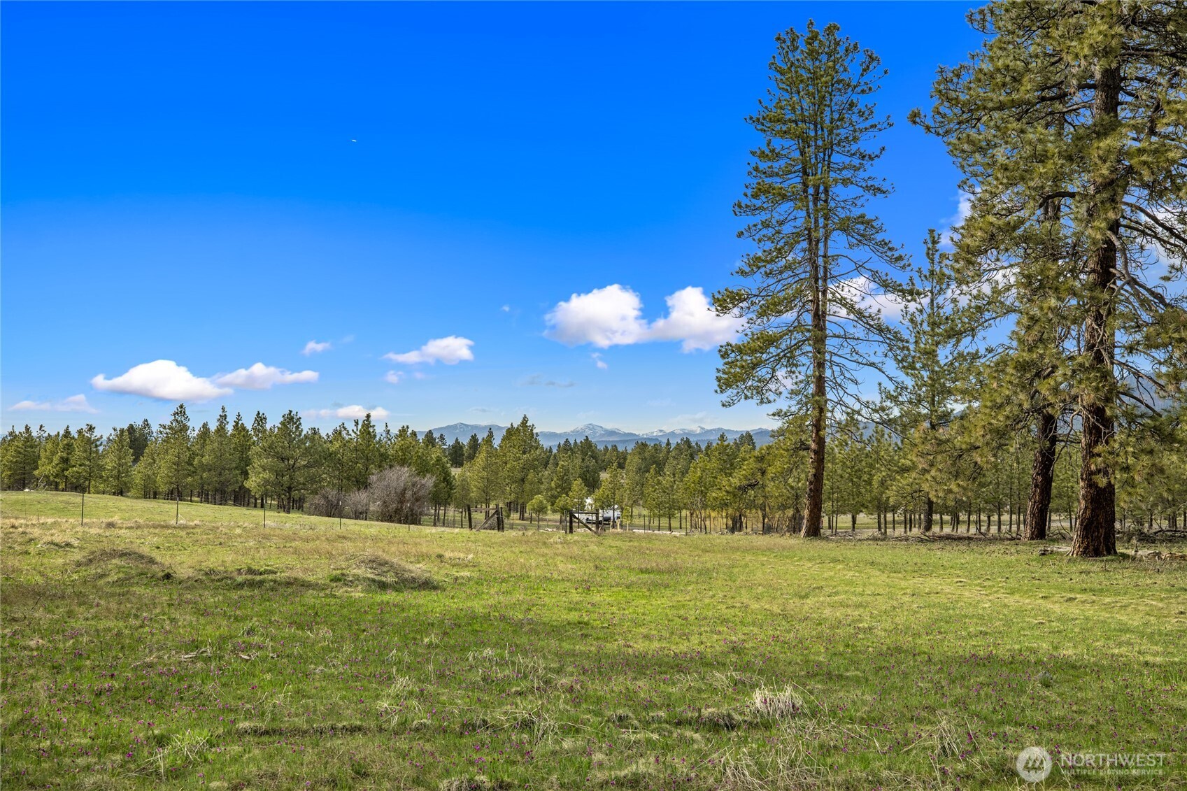 297 Swauk Pines Road Cle Elum, WA 98922 - Photo 6 of 13