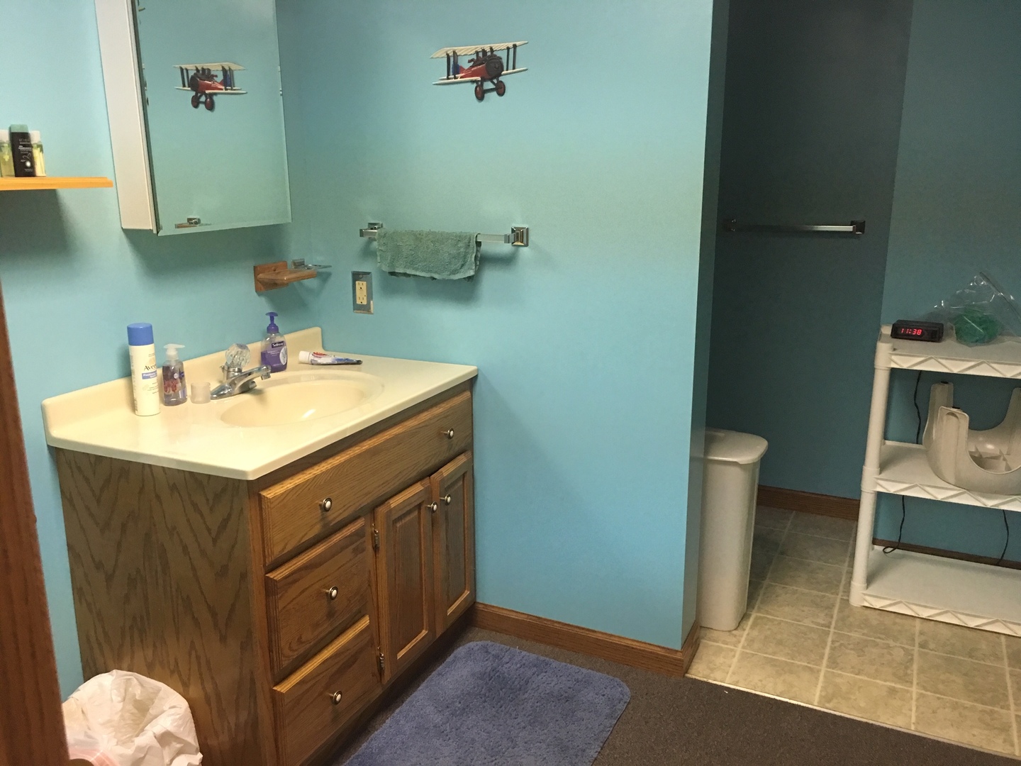 4492 East 250th Road Mendota, IL 61342 - Photo 12 of 17