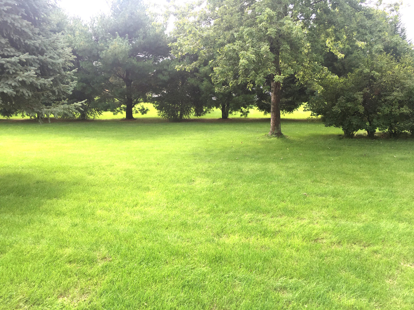 4492 East 250th Road Mendota, IL 61342 - Photo 14 of 17