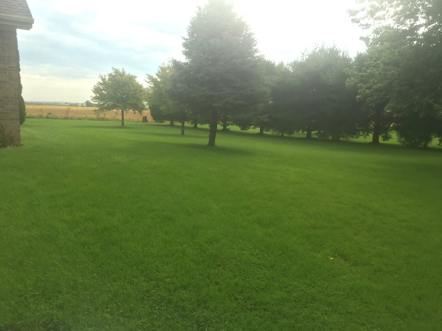 4492 East 250th Road Mendota, IL 61342 - Photo 4 of 17