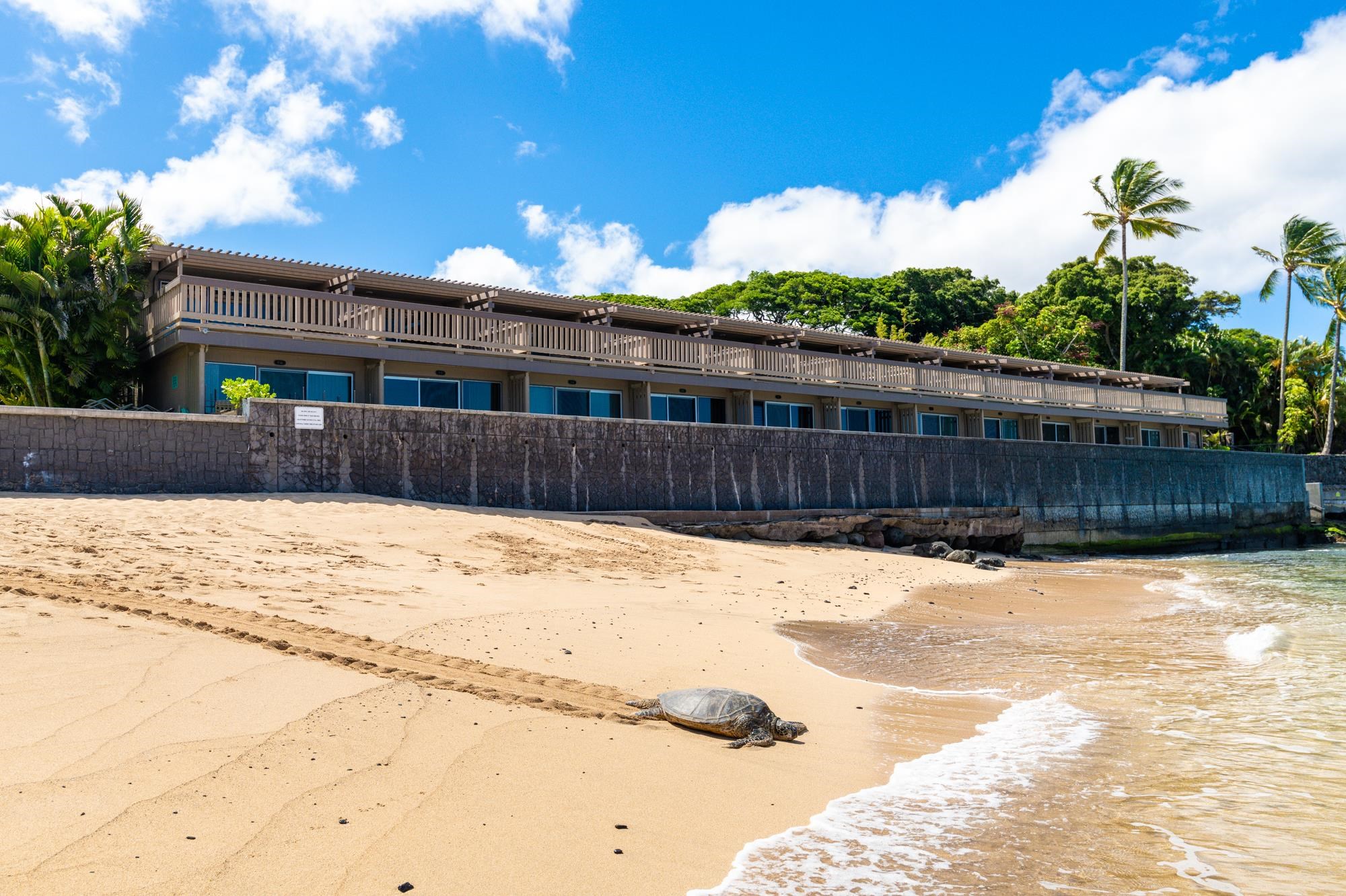 4909 Lower Honoapiilani Road, Unit E4E Lahaina, HI 96761 - Photo 35 of 36 Gallery Image 35