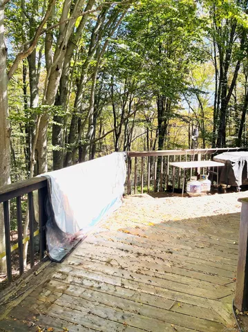 a view of backyard with trees