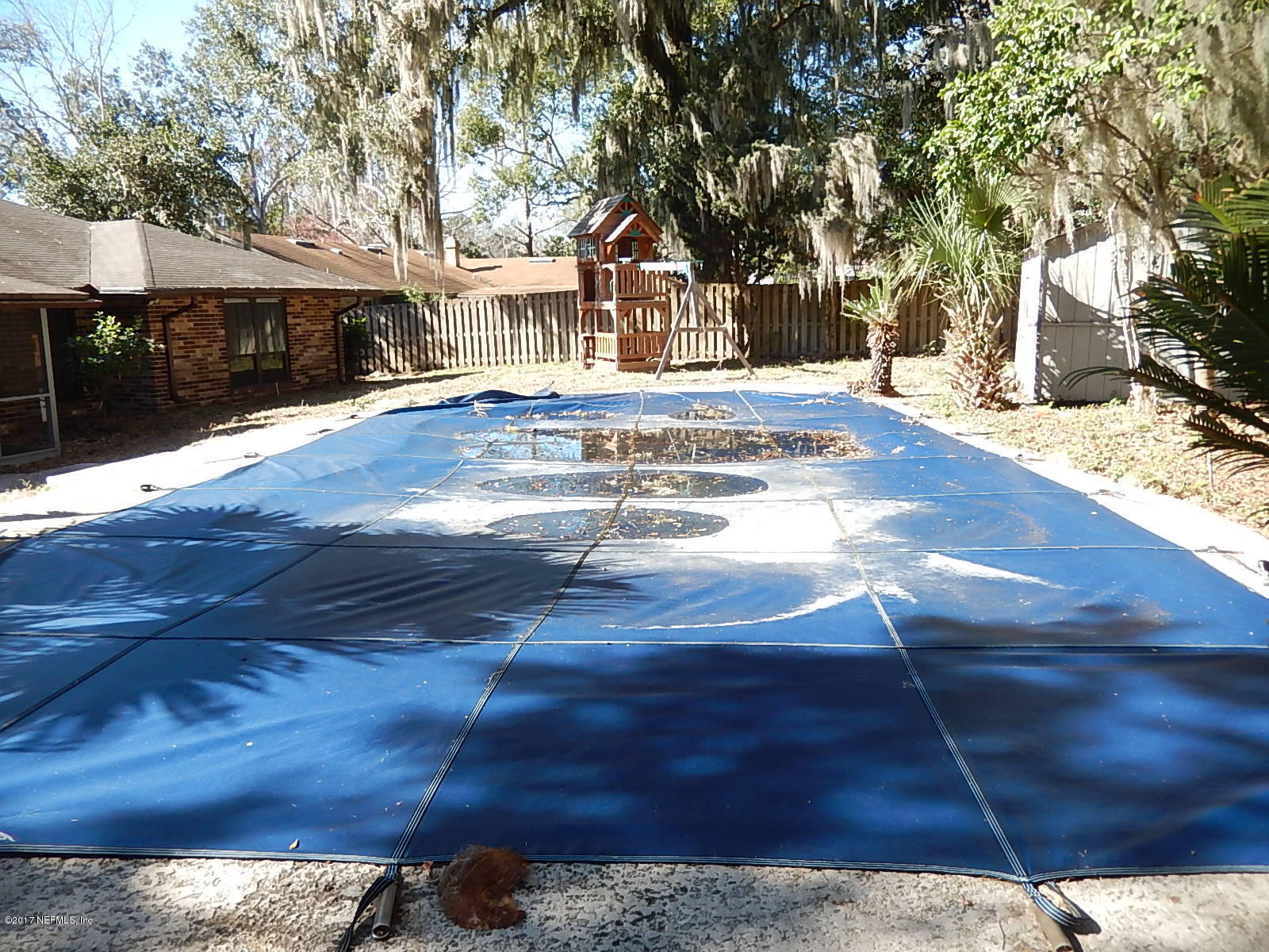 3573 Lawrence Road Orange Park, FL 32073 - Photo 37 of 40 rear pool