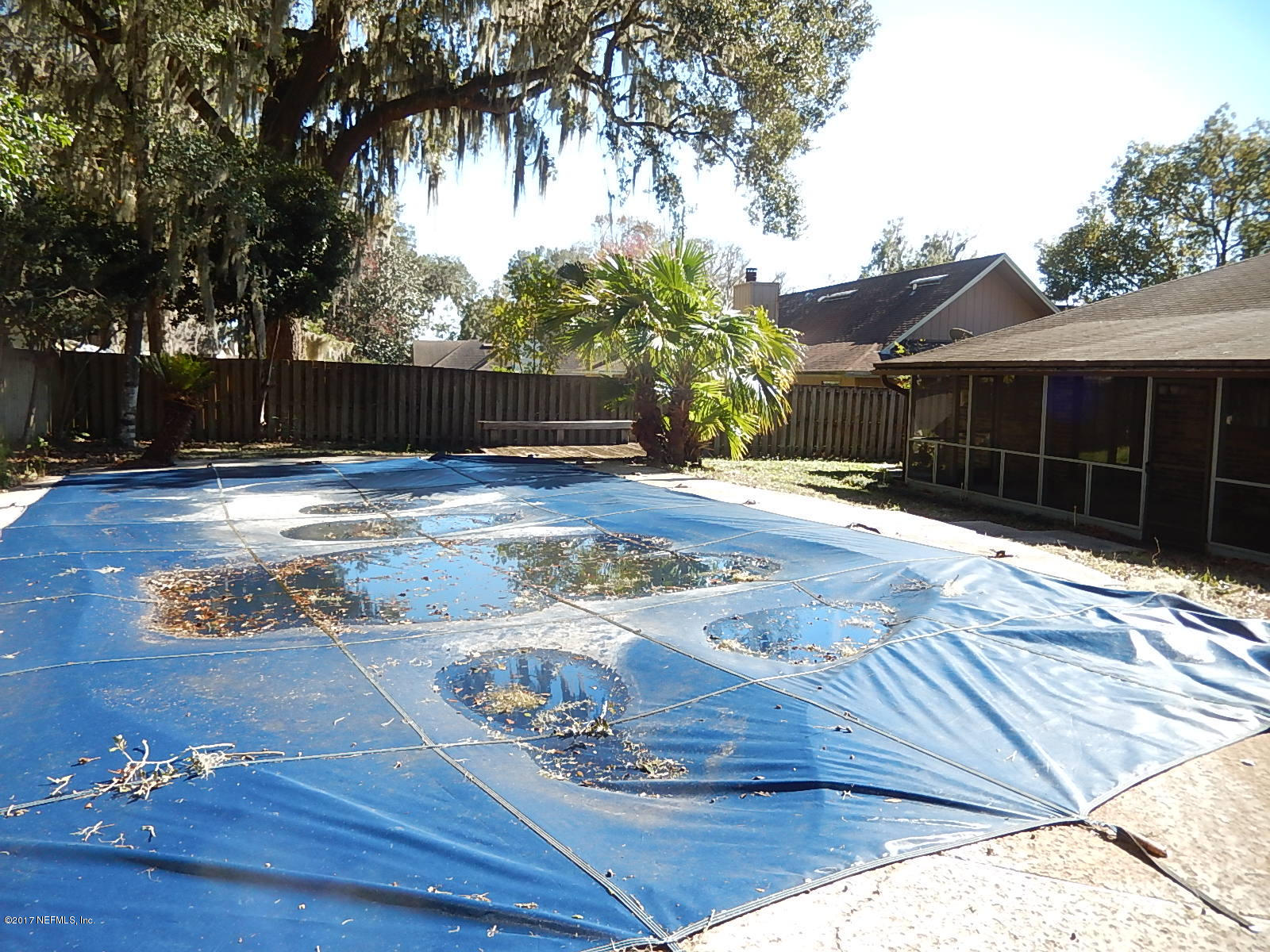 3573 Lawrence Road Orange Park, FL 32073 - Photo 38 of 40 rear pool - view 2