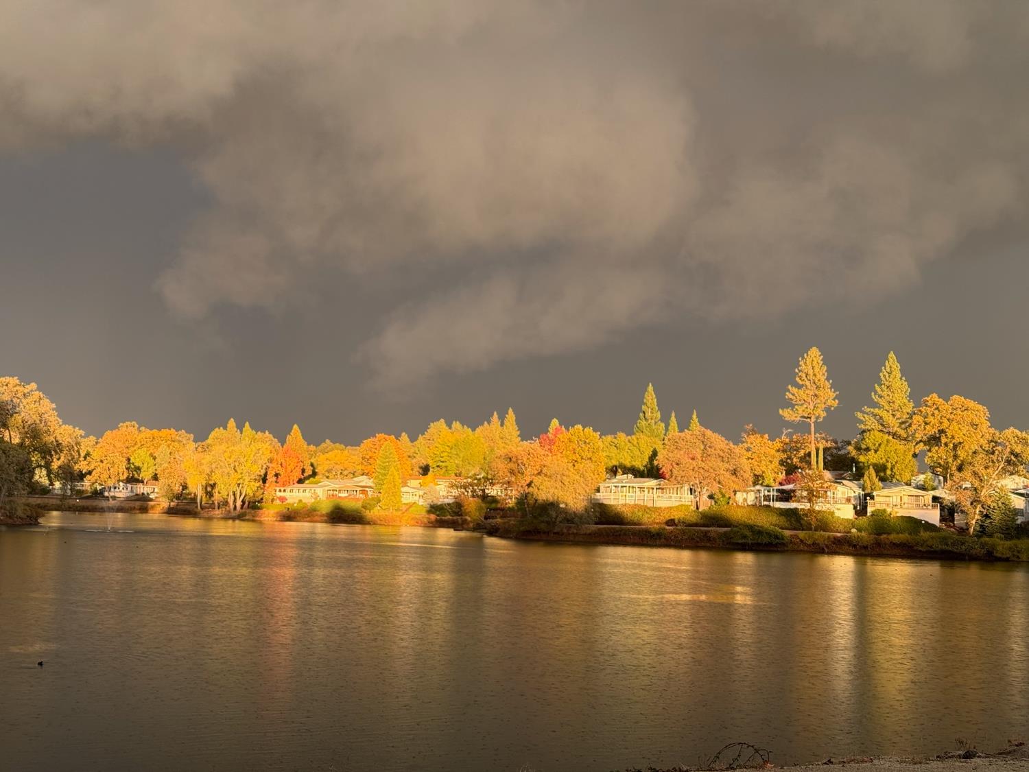 4420 Pleasant Valley Road, Unit 130 Diamond Springs, CA 95619 - Photo 11 of 39