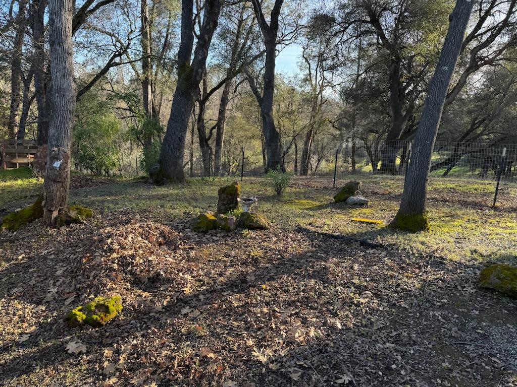 4420 Pleasant Valley Road, Unit 130 Diamond Springs, CA 95619 - Photo 35 of 39 a view of a yard with a tree