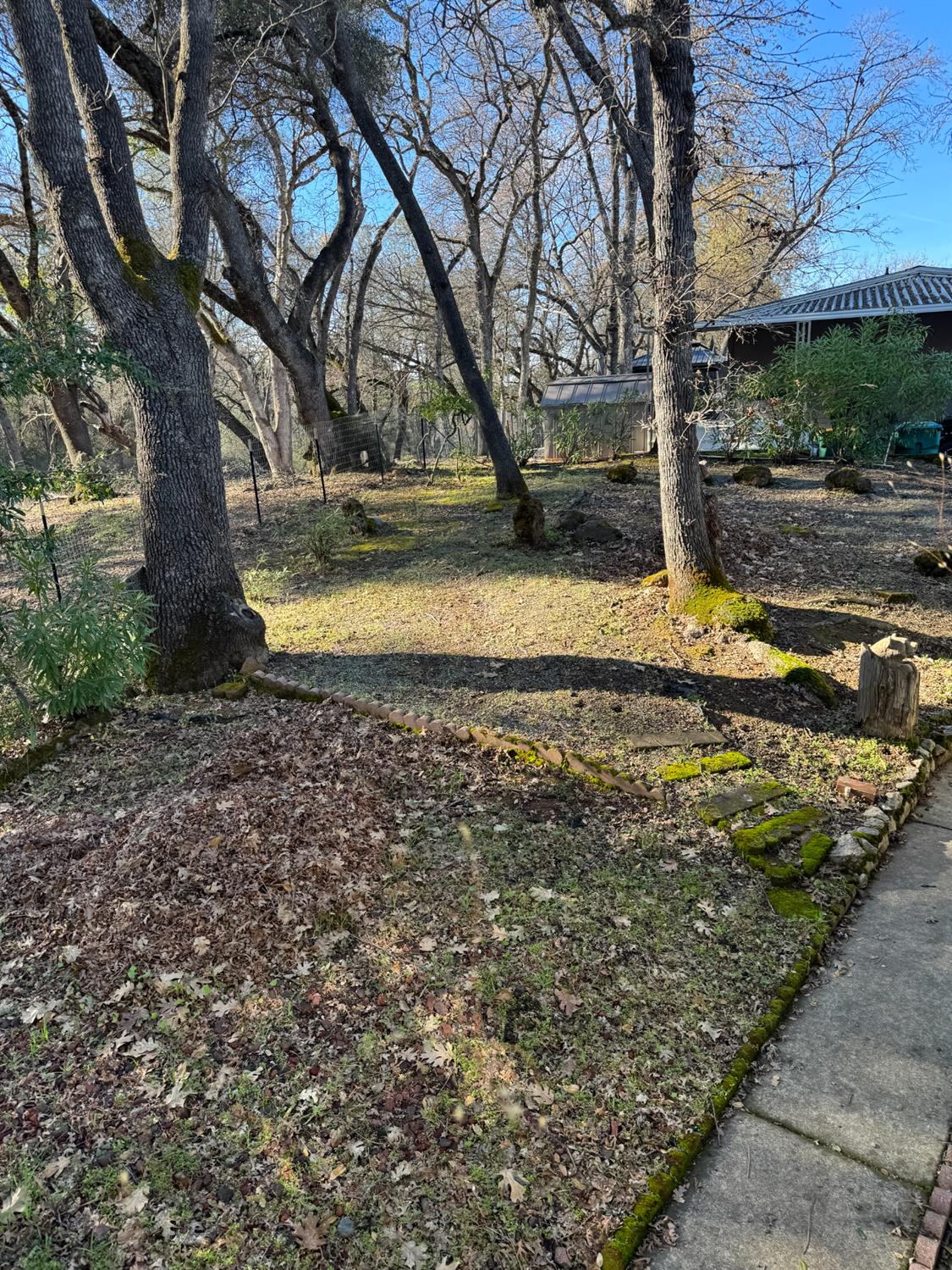 4420 Pleasant Valley Road, Unit 130 Diamond Springs, CA 95619 - Photo 37 of 39 a view of a yard with wooden fence