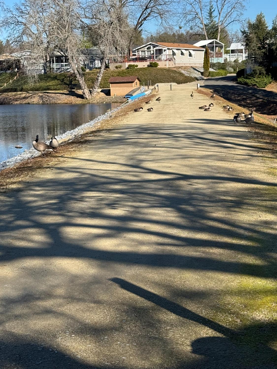 4420 Pleasant Valley Road, Unit 130 Diamond Springs, CA 95619 - Photo 38 of 39