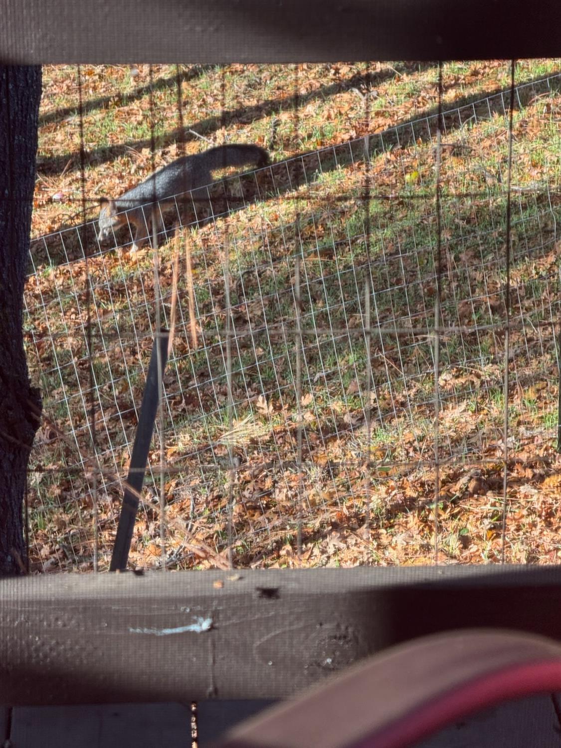 4420 Pleasant Valley Road, Unit 130 Diamond Springs, CA 95619 - Photo 39 of 39 a view of parking area
