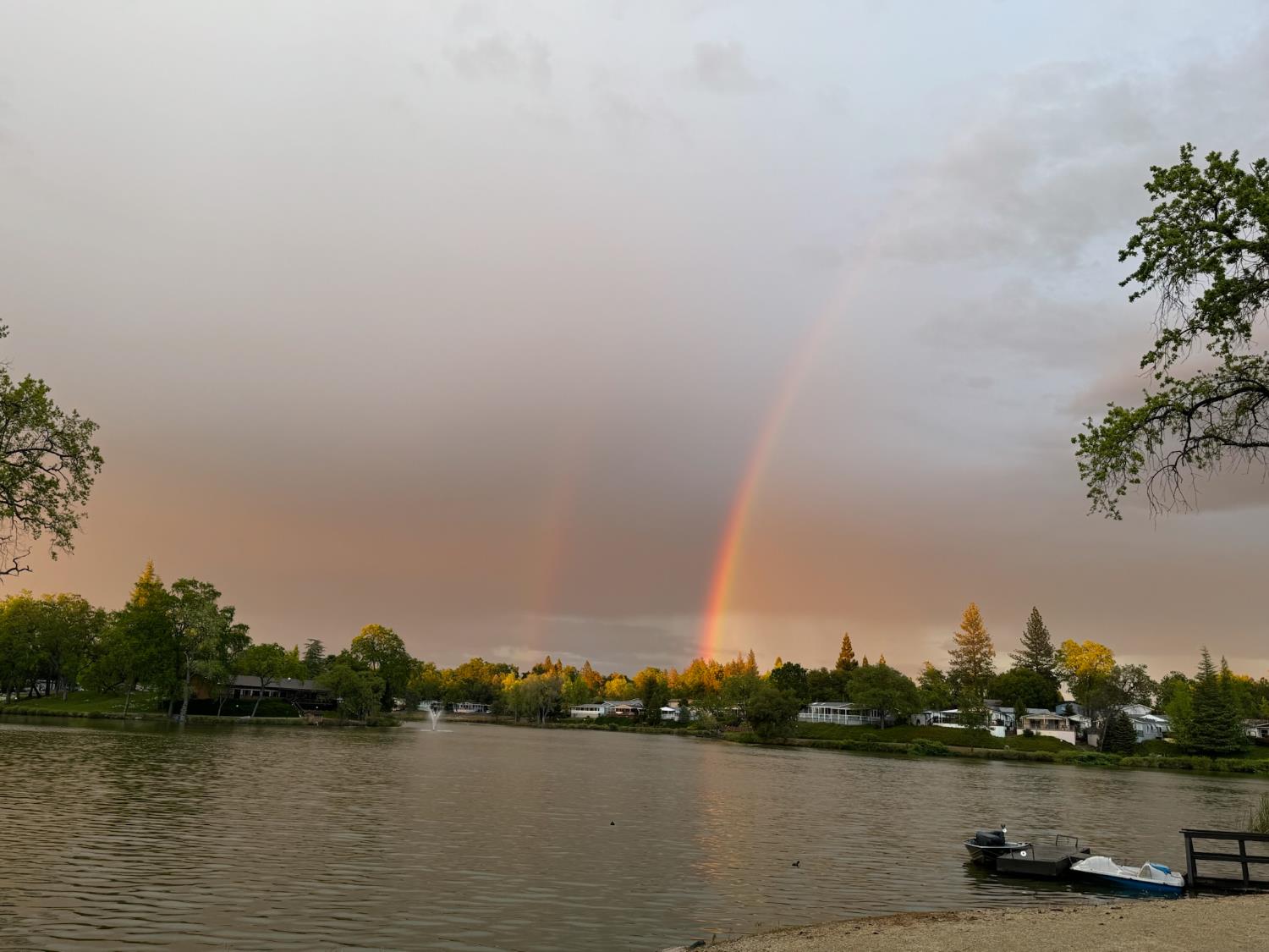 4420 Pleasant Valley Road, Unit 130 Diamond Springs, CA 95619 - Photo 8 of 39