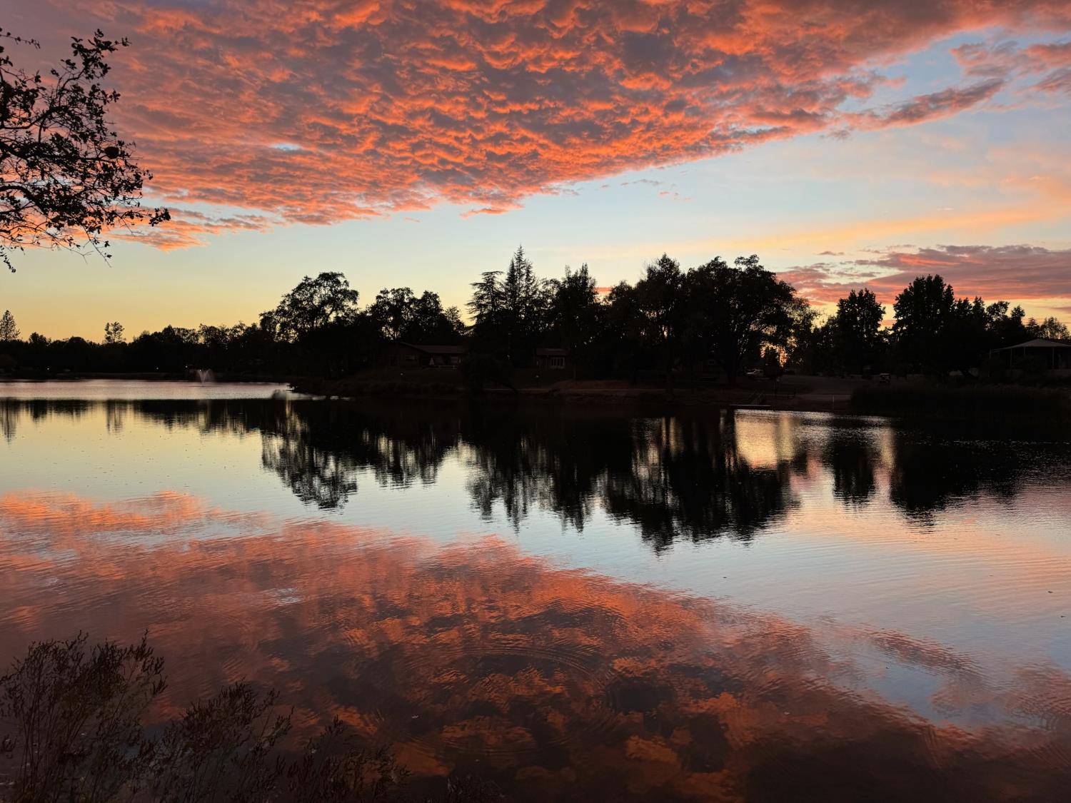 4420 Pleasant Valley Road, Unit 130 Diamond Springs, CA 95619 - Photo 10 of 39 a view of lake