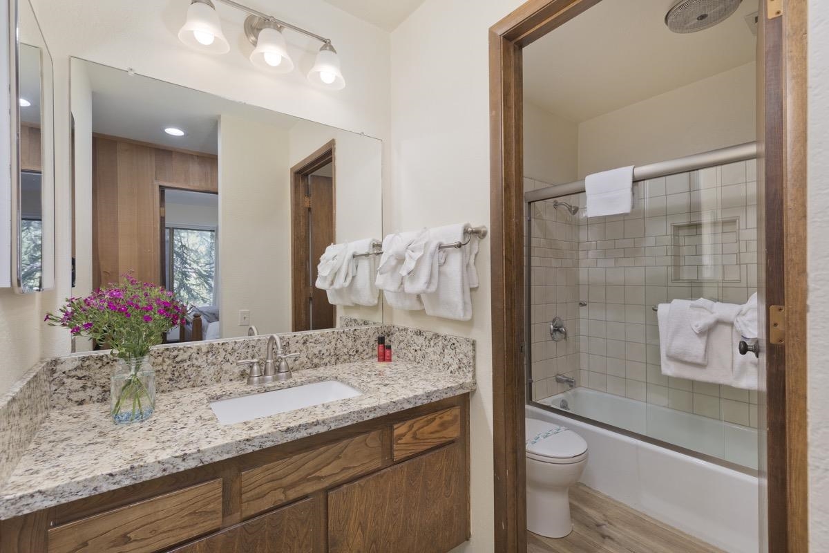 25 Lee Road, Unit 111 Mammoth Lakes, CA 93546 - Photo 19 of 32 a bathroom with a granite countertop sink a toilet and shower