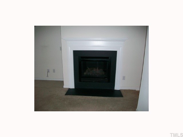 2628 Quarry Ridge Lane Raleigh, NC 27610 - Photo 2 of 7 Warm Fire Place