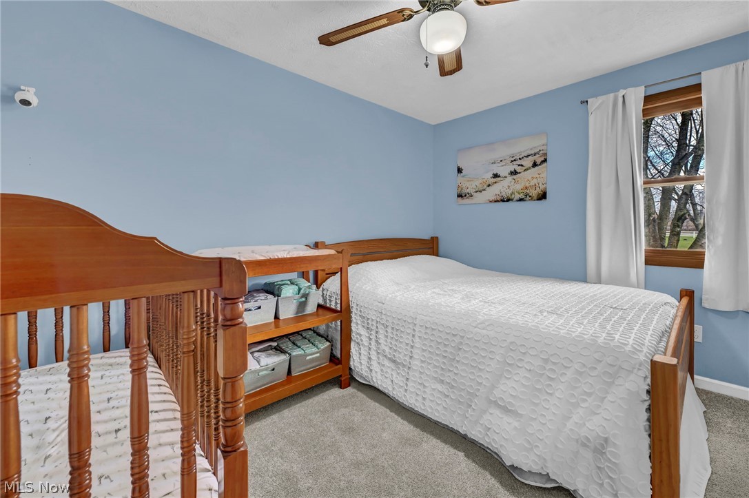 259 East Ohio Avenue Rittman, OH 44270 - Photo 29 of 41 Bedroom featuring light carpet and ceiling fan