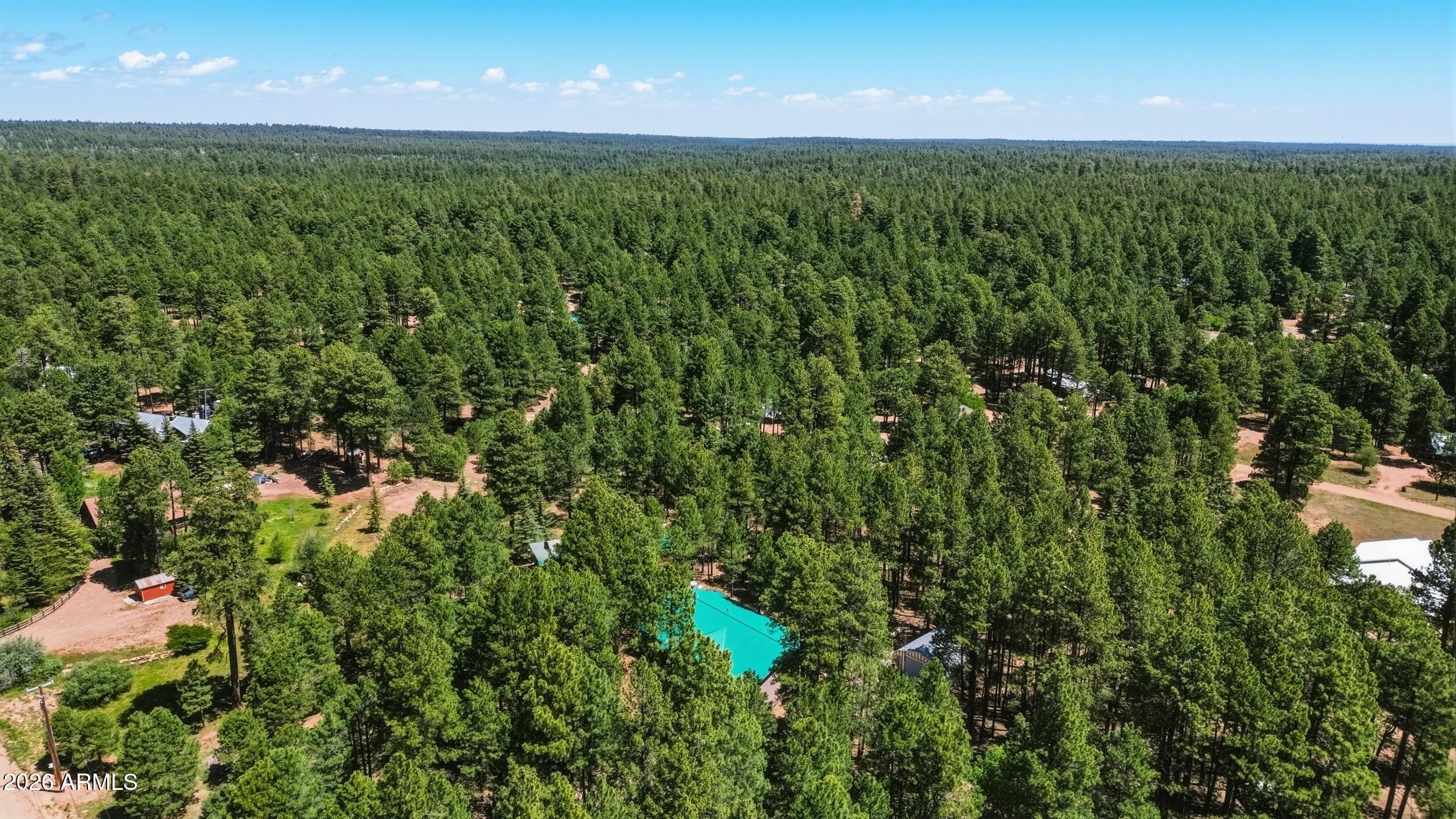 1233 Merzville Road Forest Lakes, AZ 85931 - Photo 38 of 42 Aerial B