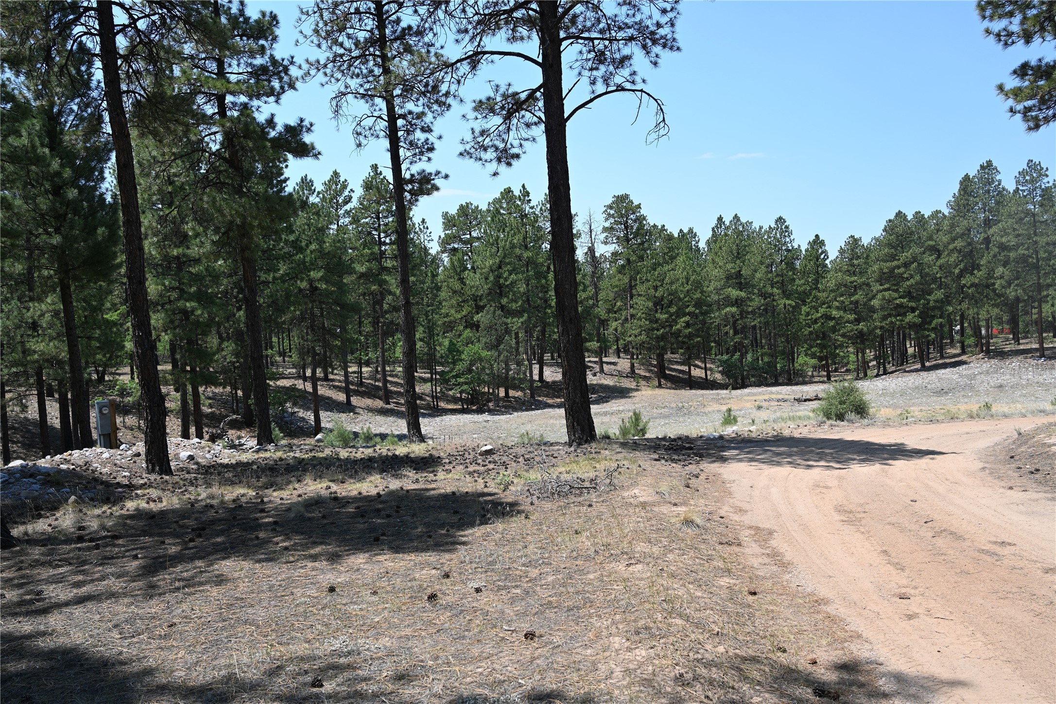 0 The Forks Road Chama, NM 87520 - Photo 14 of 25 Gallery Image 14