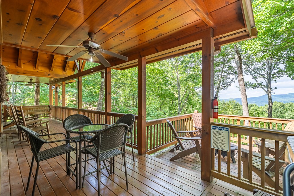107 Little Bushy Head Road Blue Ridge, GA 30513 - Photo 28 of 43 Gallery Image 28