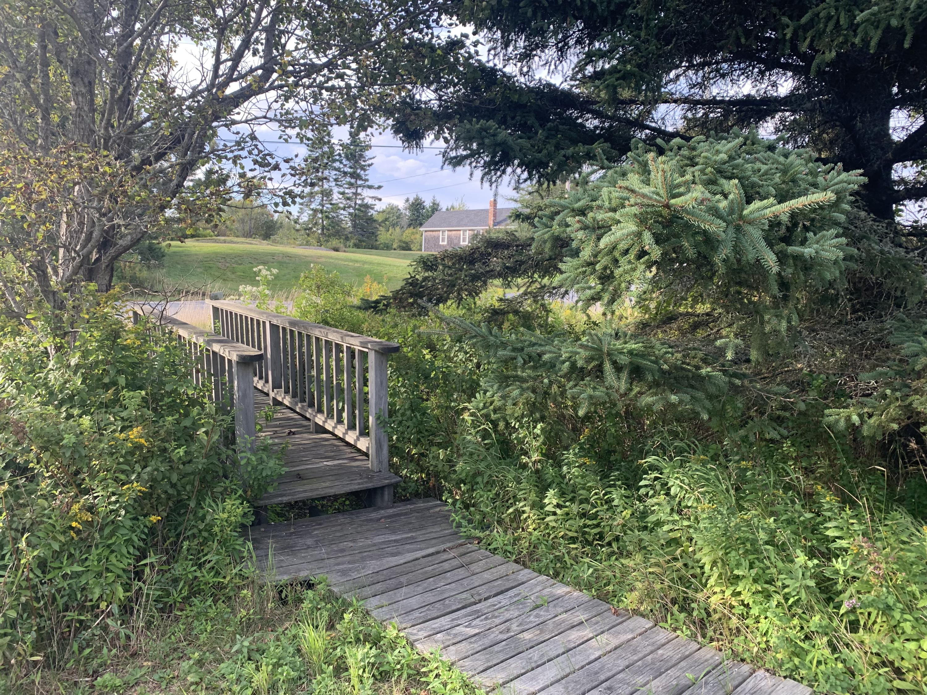 115 Crowley Island Road Corea, ME 04624 - Photo 36 of 58 Photo Sep 15, 4 49 27 PM