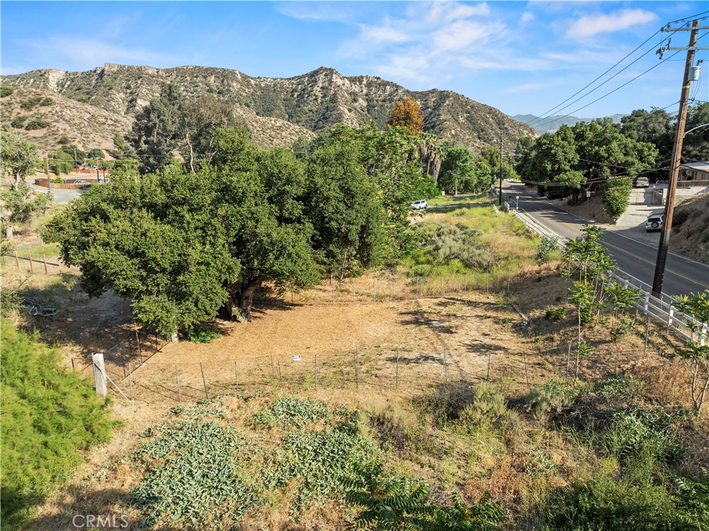 1 Taylor Street Val Verde, CA 91384 - Photo 4 of 6 a view of a yard with a tree