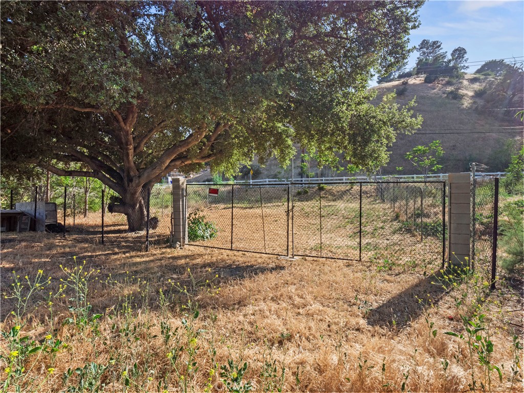 1 Taylor Street Val Verde, CA 91384 - Photo 5 of 6 a view of a yard with large trees