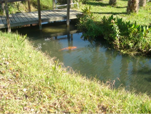 376 Southwest Germany, Unit 36 Palm Bay, FL 32908 - Photo 4 of 9 Additional Photo