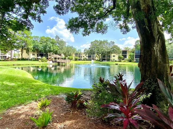 a view of a lake with a big yard