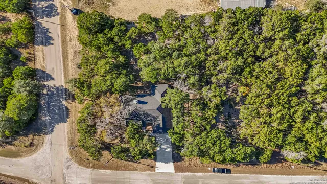 a plant that is in front of a building