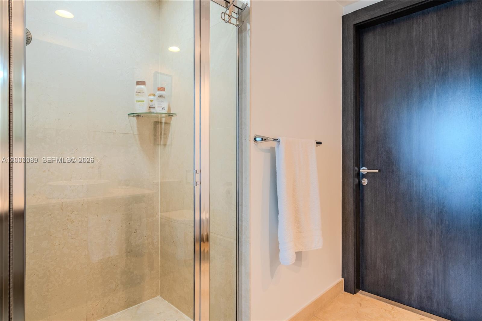 495 Brickell Avenue, Unit PH5703 Miami, FL 33131 - Photo 20 of 52 Guest bathroom full shower
