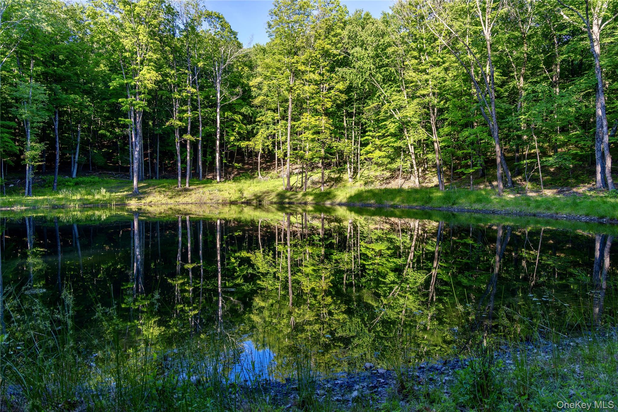Mallory Road Verbank, NY 12585 - Photo 15 of 16