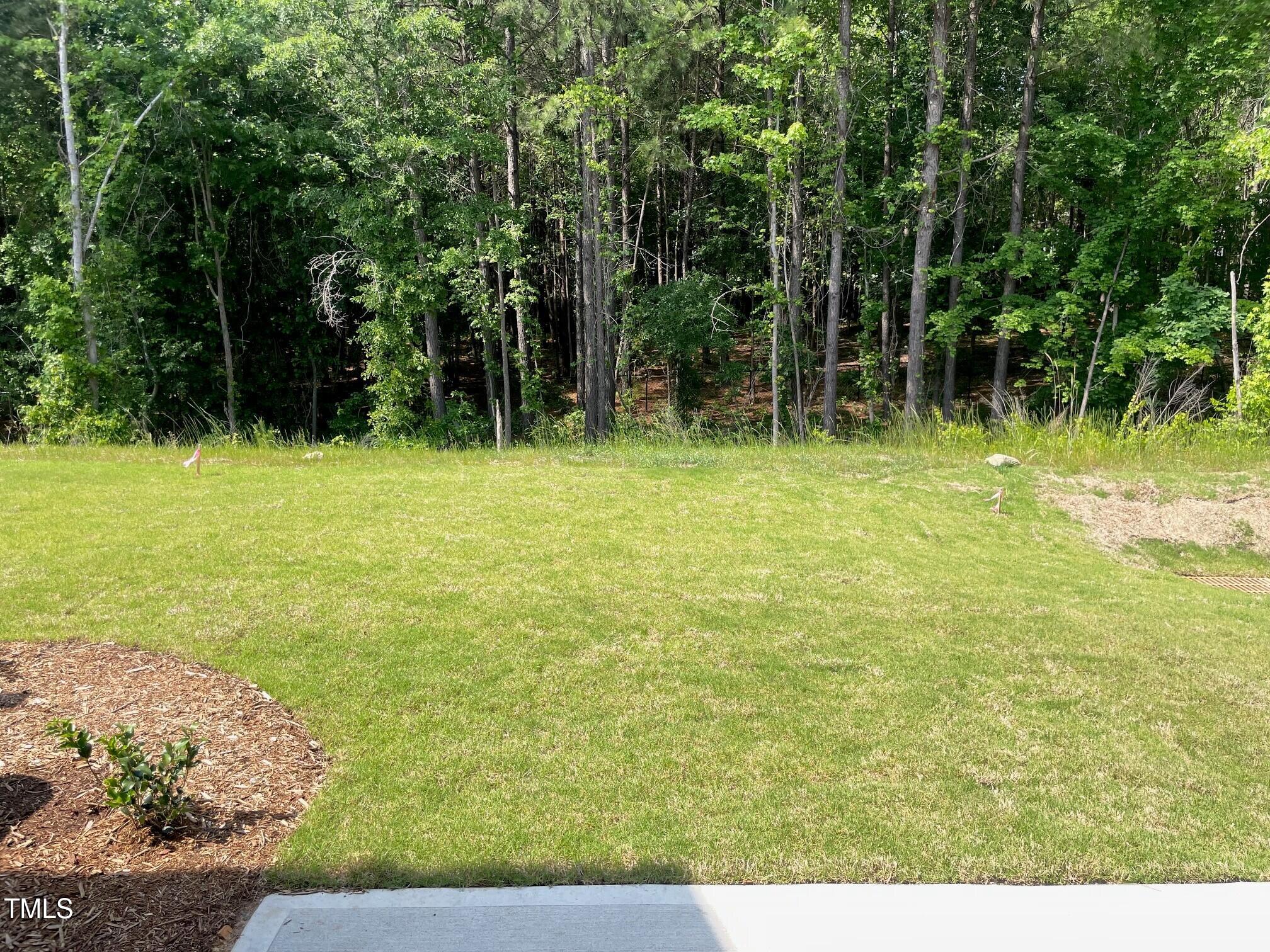 3019 Vitner Drive Durham, NC 27704 - Photo 18 of 20 a view of a yard with an trees