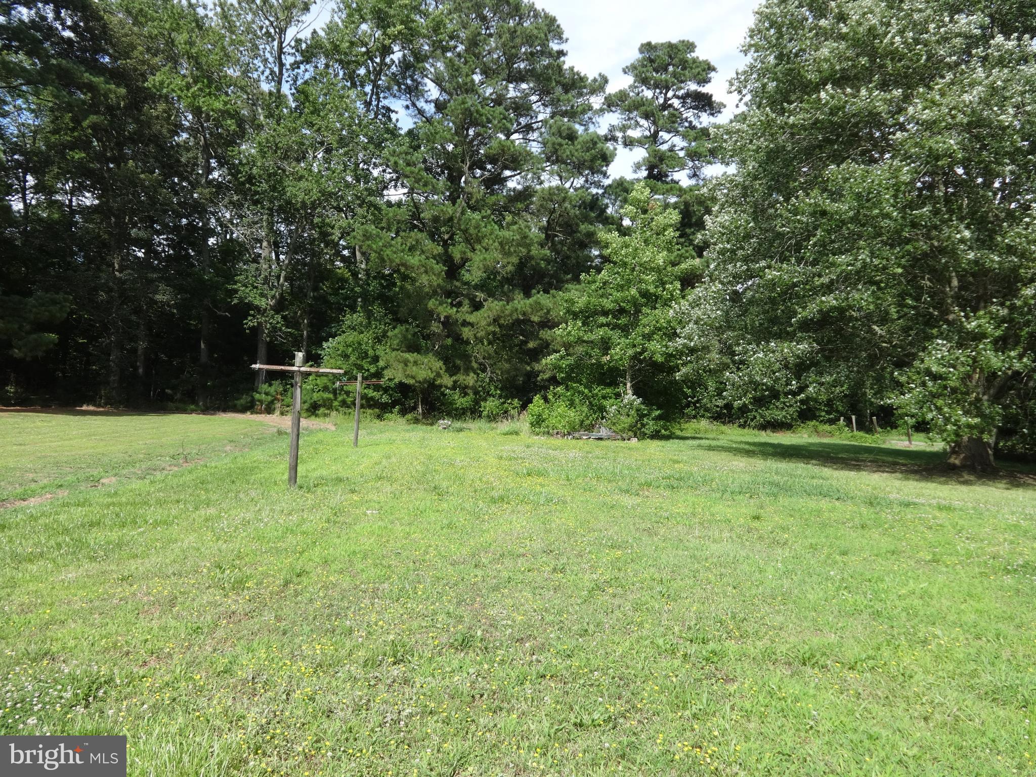 8775 Wedda Scott Road Westover, MD 21871 - Photo 4 of 15 Gallery Image 4