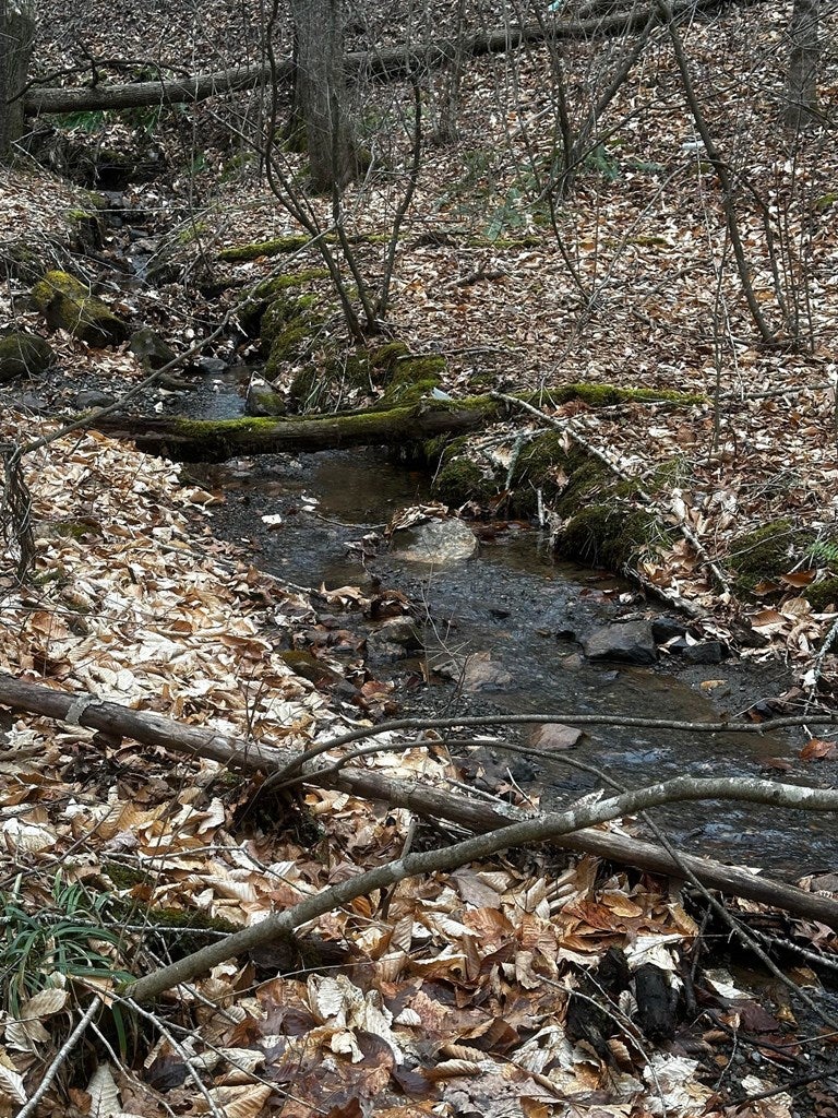 Tbd Laurel Fork Road Dugspur, VA 24325 - Photo 3 of 12 Gallery Image 3