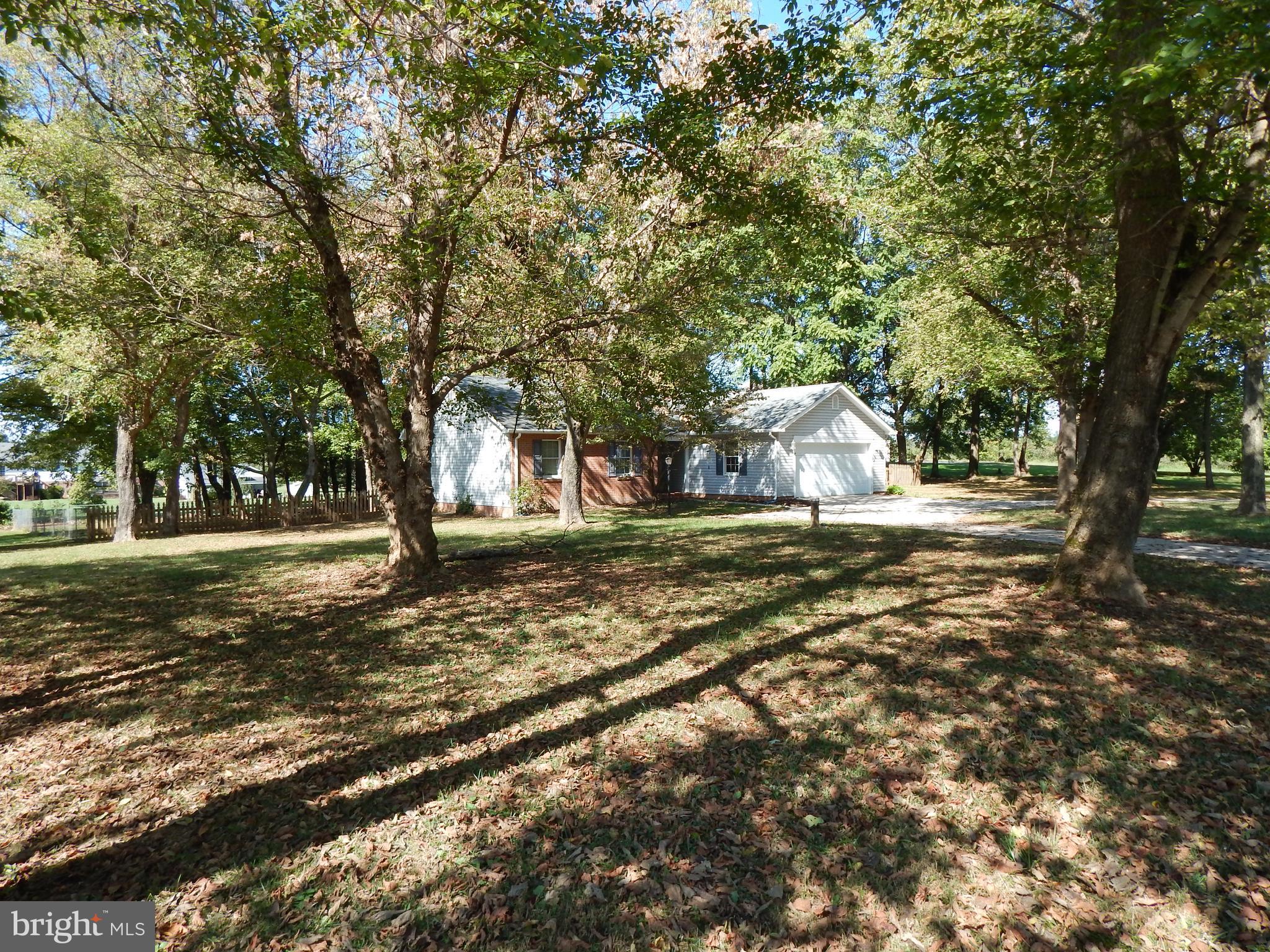 5525 Summit Point Road Charles Town, WV 25414 - Photo 33 of 41 LOTS OF TREES
